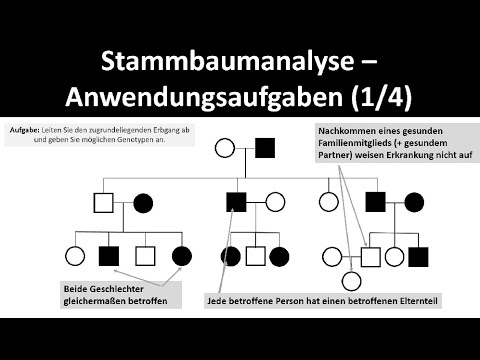 Stammbaumanalyse - Anwendungsaufgaben [1/4] - [Biologie, Oberstufe]