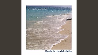 Noche Sin Luciérnagas