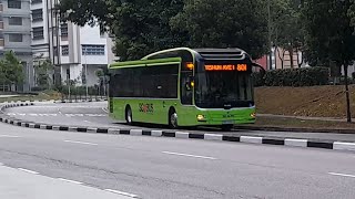 (Repainted) SMB3085X On Service 801 At Yishun Avenue 6