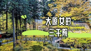 ❐ 大原女三千院 |  A Universe on Her Shoulders : Chiliocosm of Sanzen-in