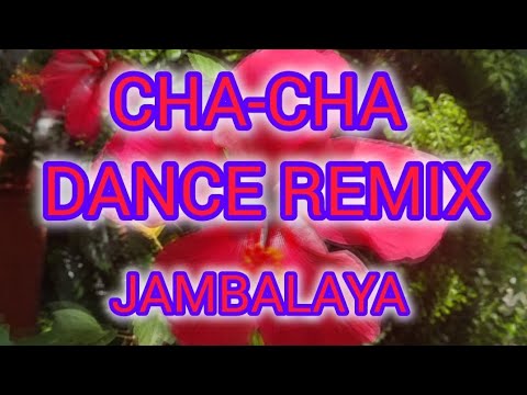 🎶 Let's dance 💃 Jambalaya cha-cha dance remix 🎶 