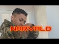 SHAD MIZ NARVALO 2024