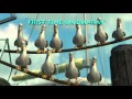 Finding Nemo Available On Blu Ray Combo Pack December 4