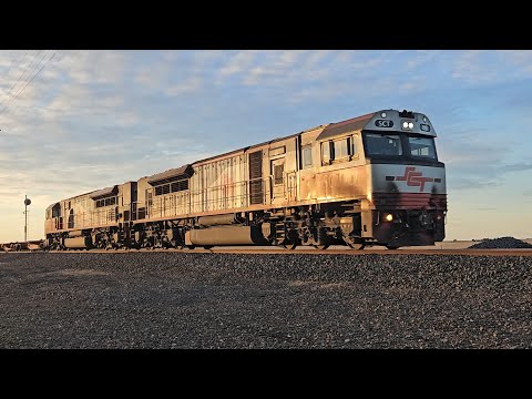 5AM9 SCT up "Dark Ghost" (SCT001, SCT014), Penfield to Laverton, 1720, 24/7/25, Murtoa South VIC