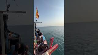 Viet Nam So Beautiful 4K #4k #vietnam #asia #relax