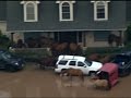 Raw: Horses Take Refuge on Porch to Escape Flood