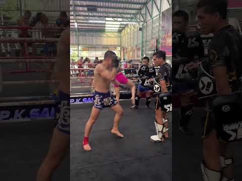 Jose vieira muay thai - pad at pk saenchai muay thai gym