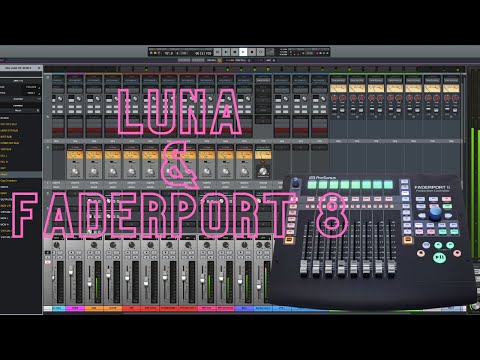 Luna and Faderport 8 | Spill