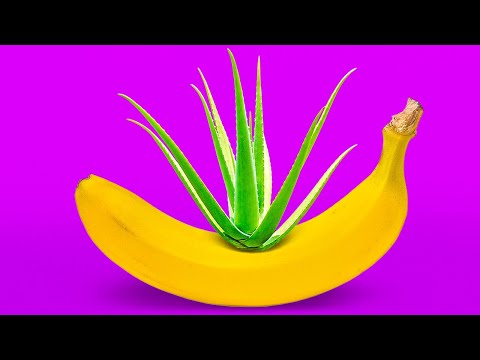 30 PLANT HACKS TO GROW YOUR OWN GARDEN