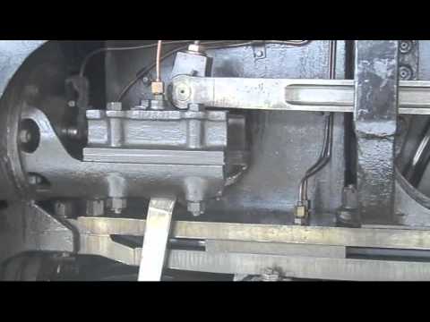 The Bittern and the bridge