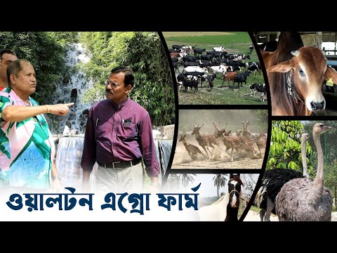995- অসাধারন একটি খামার বাড়ী ওয়ালটন এগ্রো- র.ই মানিক চিত্রপুরী  R.I.Manik.Chitrapuri Krishichitra