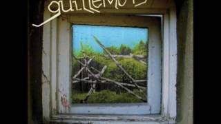 Guillemots We're here