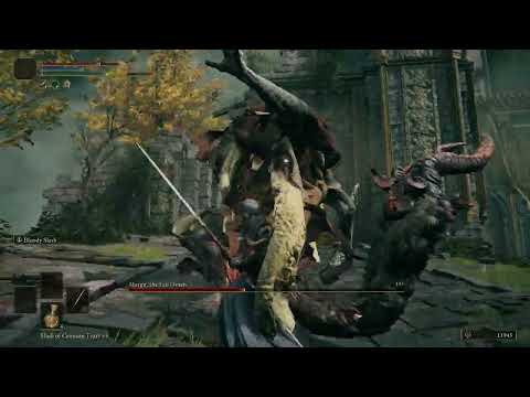 Margit Vs  Twin blades