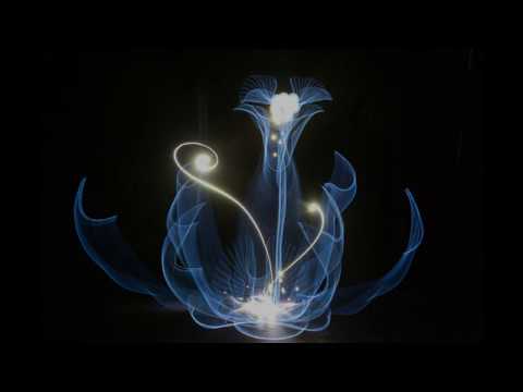 Hannu Huhtamo light flower demo