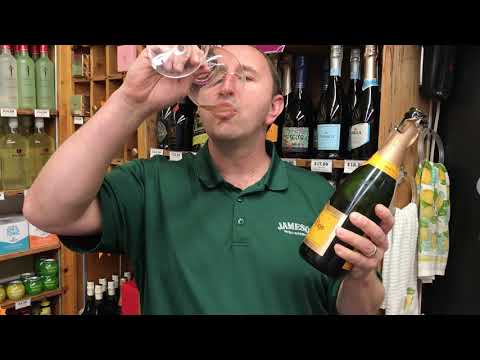 Campo Viejo Cava Brut Reserva | One Minute of Wine Episode #333