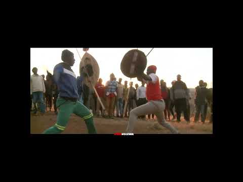 Zulu Warrior - Bhejane vs Ntibane ( South Africa )🇿🇦