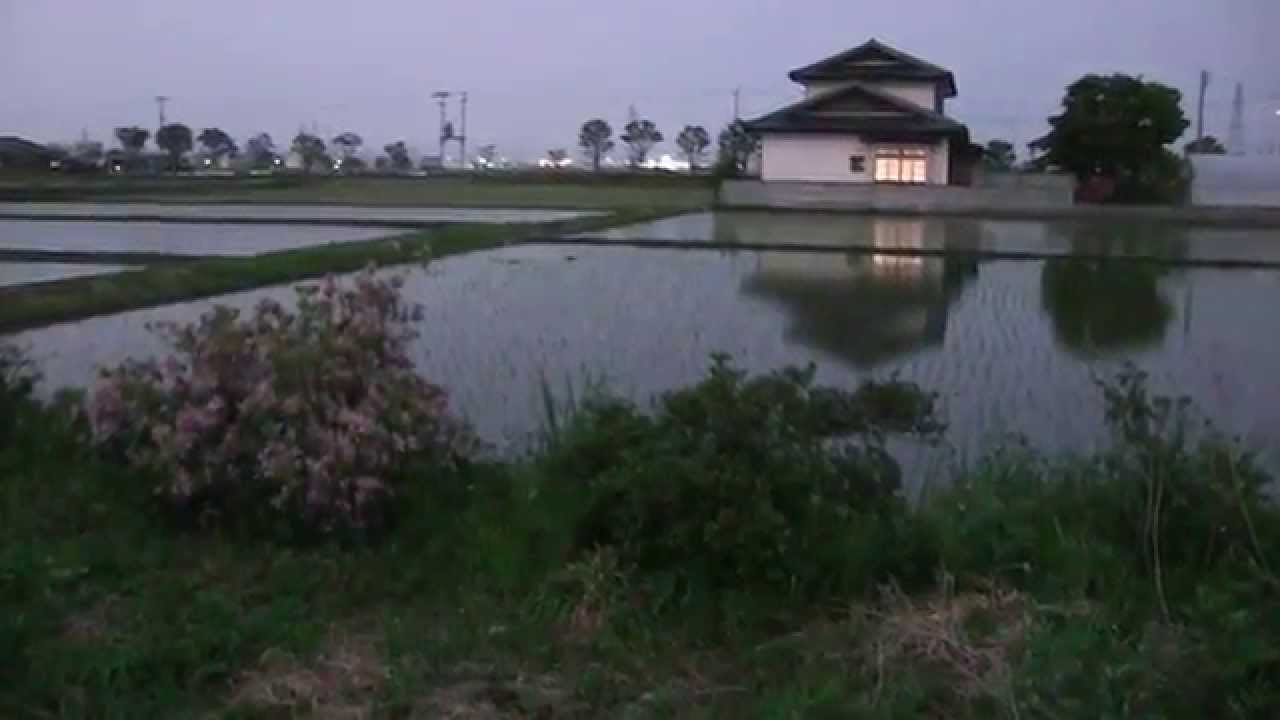 あさか野野外音楽会　2015.5.16