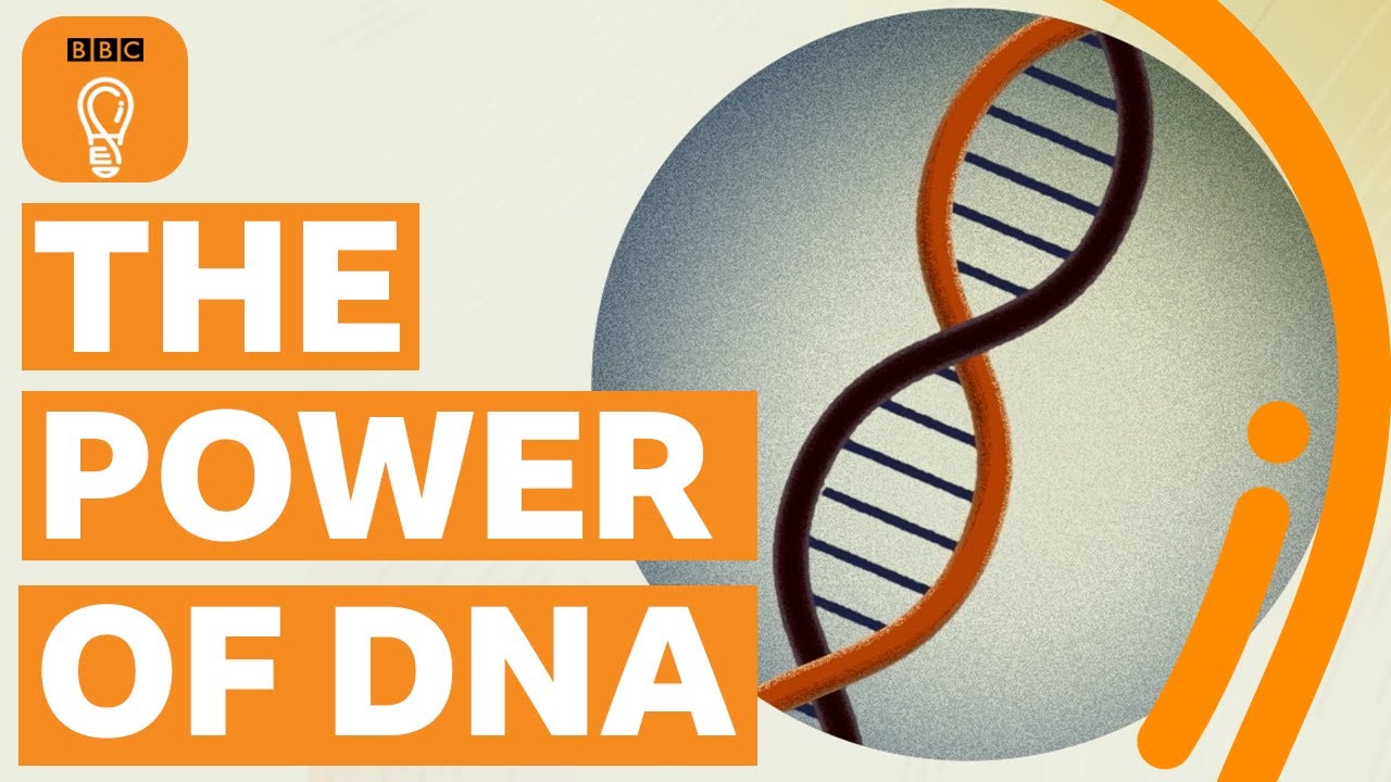 How the discovery of DNA changed the world – and my life | BBC Ideas
