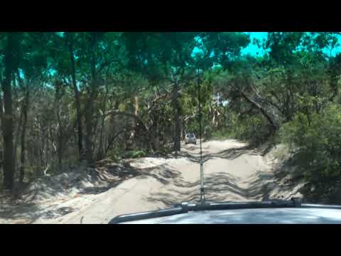Driving The Inland Track From The Champagne Pools To Orchid Beach Fraser Island | All About Fraser