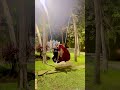 Nyla Usha Fall From Swing In Bali Funny Accident