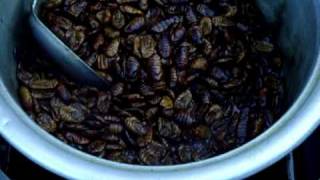 preview picture of video 'KOREA Food- Beondegi(번데기): steamed silkworm chrysalis'