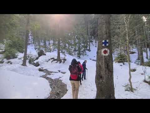 Traseu usor de iarna Cabana Gura Diham - Cabana Diham