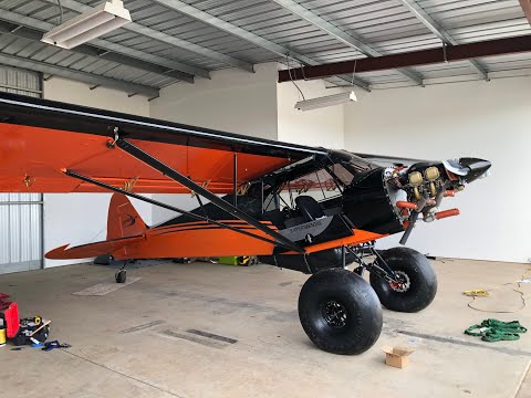 I got caught cheating on the Kitfox