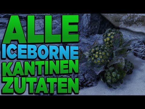 Alle geheimen Kantinenzutaten in der Raureifweite - seltene Zutaten Monster Hunter World Iceborne