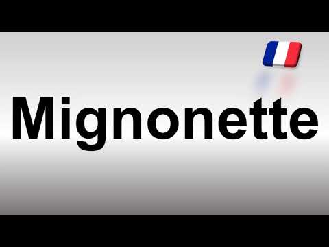 How to Pronounce Mignonette