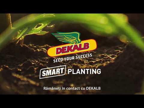 DEKALB® SMART Semănat