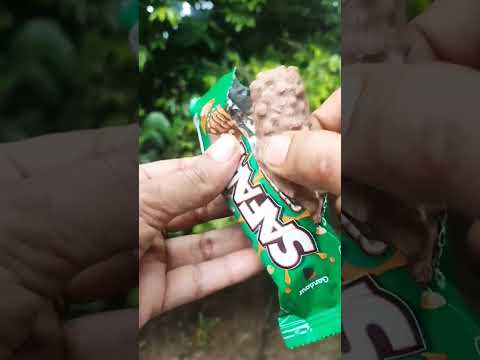 Safari/chocolate #shortvideo #safari #chocolate