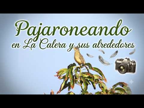 PAJARONEANDO EN LA CALERA - RIO ACONCAGUA