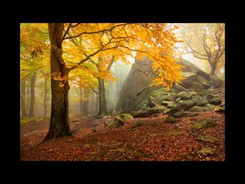 Martinů: Špalíček (1932-33)