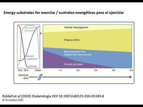 Sustratos y sistemas energéticos durante el ejercicio