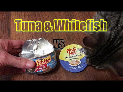 BEST CAT FOOD- Friskies VS  Meow Mix -Tuna & Whitefish with GRAVY!