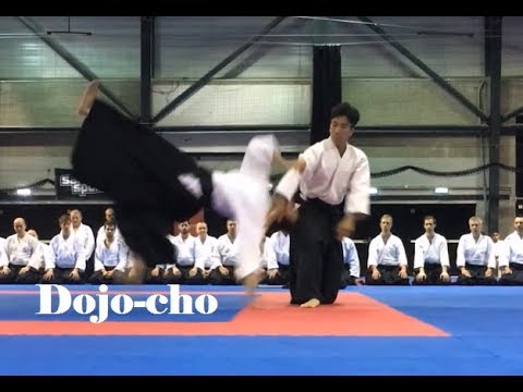 Ueshiba Mitsuteru Hombu Dojo-cho Jiyu-Waza