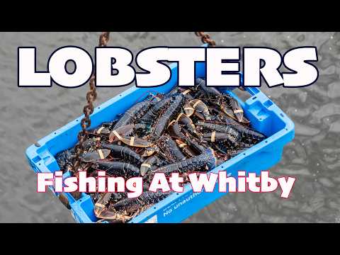 Whitby Lobsters - Fishing the Yorkshire Coast On Arkane 2