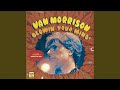 Spanish Rose - Van Morrison - Topic Spanish Rose