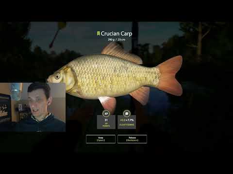 Russian Fishing 4 2021/2022 Leveling Guide with MDawg Episode 3 Cafe Focus