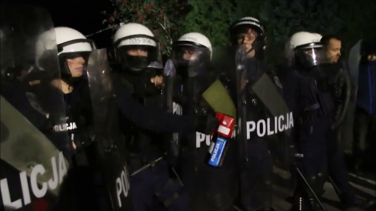 Nocny dramat w ZOO Łączna. Brutalna akcja policji i wywóz zwierząt