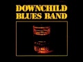 Downchild Blues Band - Flip Flop And Fly