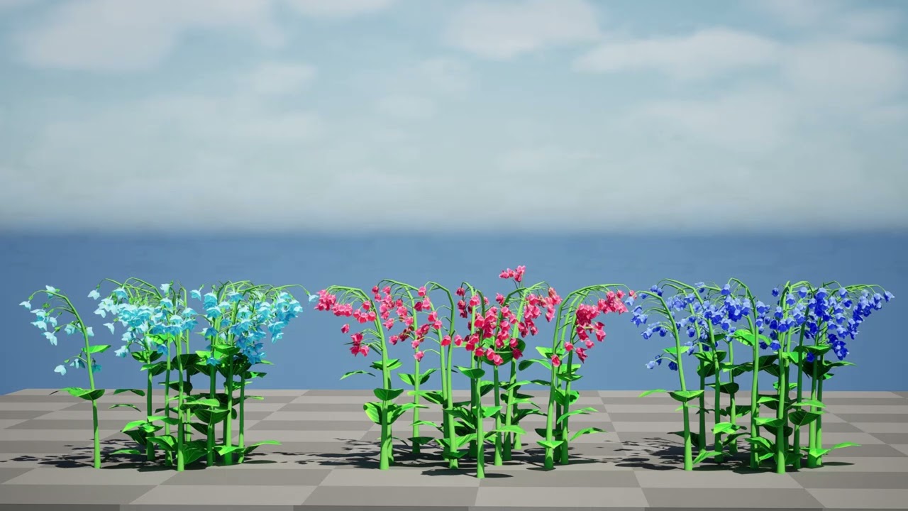 Australian Bluebell Flowers 3D Model