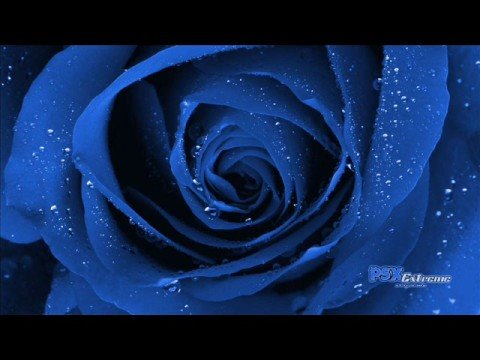 Video Amores Como El Nuestro de Dantes y Jun-I