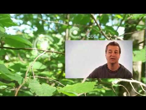 comment soulager l'uc