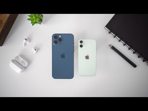 iPhone 12 Pro Max vs iPhone 12 Mini - Long Term Review