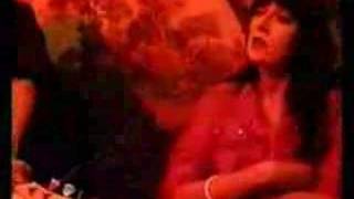 Stereo Total - Miau miau