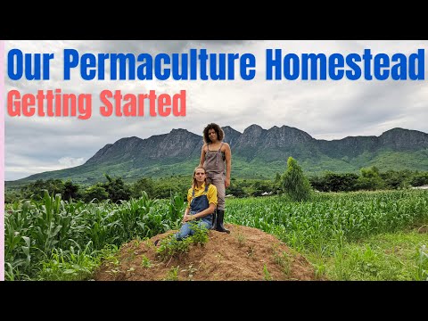 Our Permaculture Homestead: Getting Started