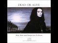 Dead Or Alive - Son Of A Gun