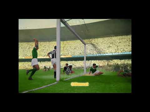 Gol de liminha colorizado por mim, Mundial de 1951 - Palmeiras