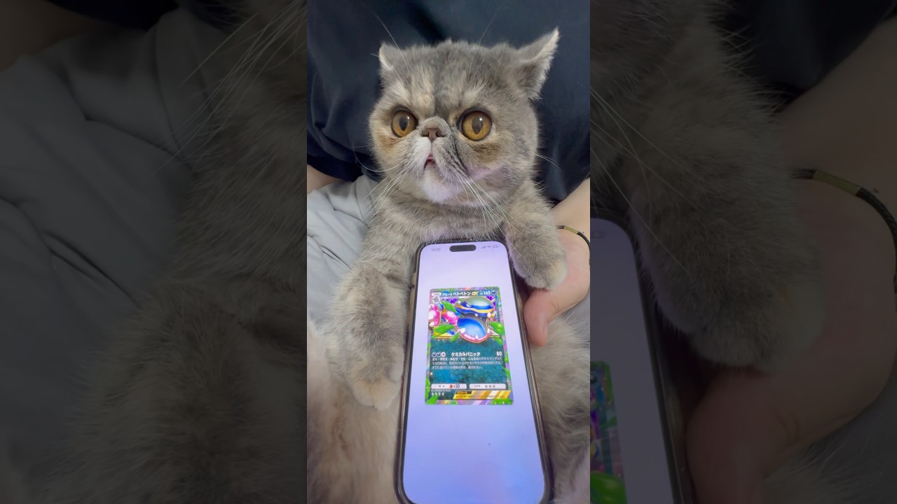 ほこりポケポケ開封 #ポケポケ #ポケポケ開封チャレンジ